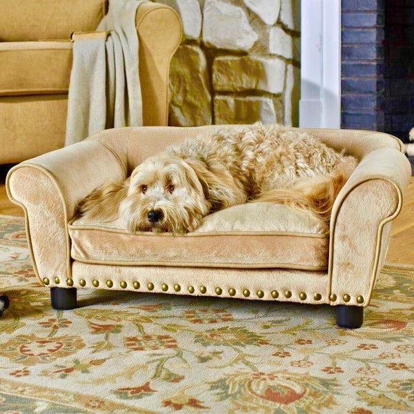 Coolidge on sale dog sofa