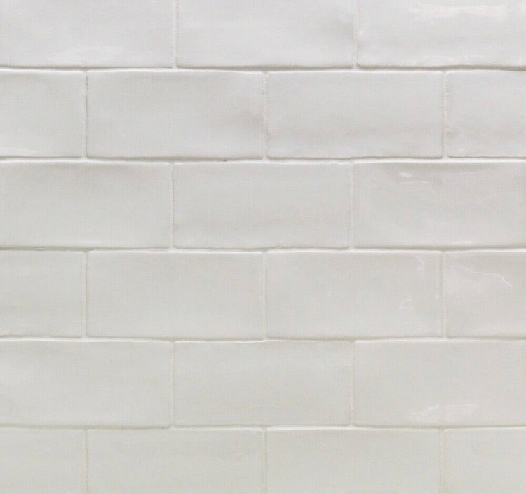 Catalina 3" x 6" Ceramic Subway Tile CG1115