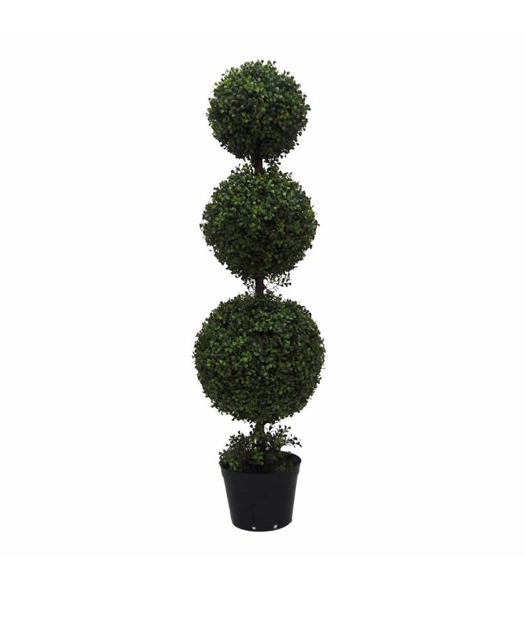 Triple Ball Boxwood Topiary in Pot CG922