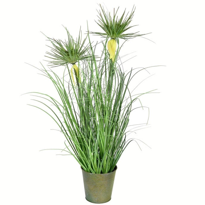 (Set of 4) Vickerman 24" Green Cyperus Grass in Iron Pot CG176