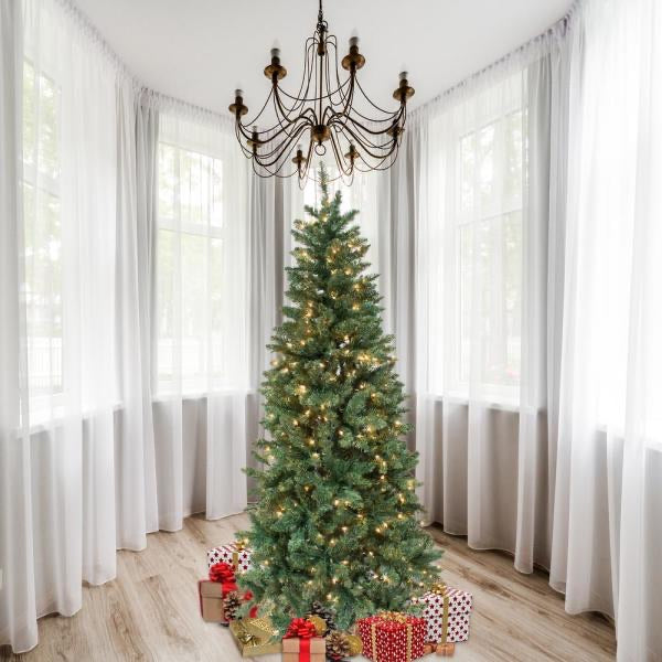 7' Pre-Lit Douglas Fir Christmas Tree with 300 Lights (#K5953)