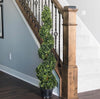 Load image into Gallery viewer, 48&quot;H Boxwood Topiary in Pot CG974