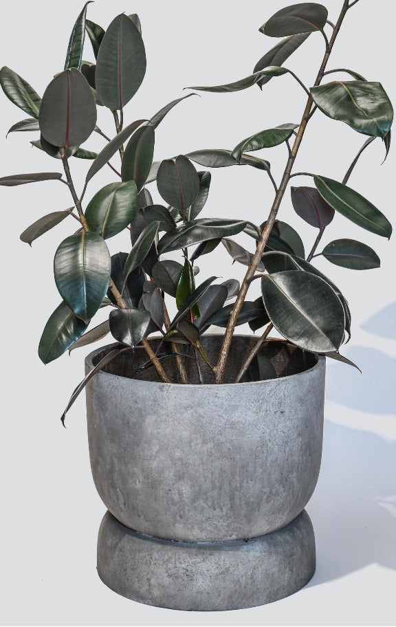 12" H x 14" W x 14" D Cement Planter CG1626