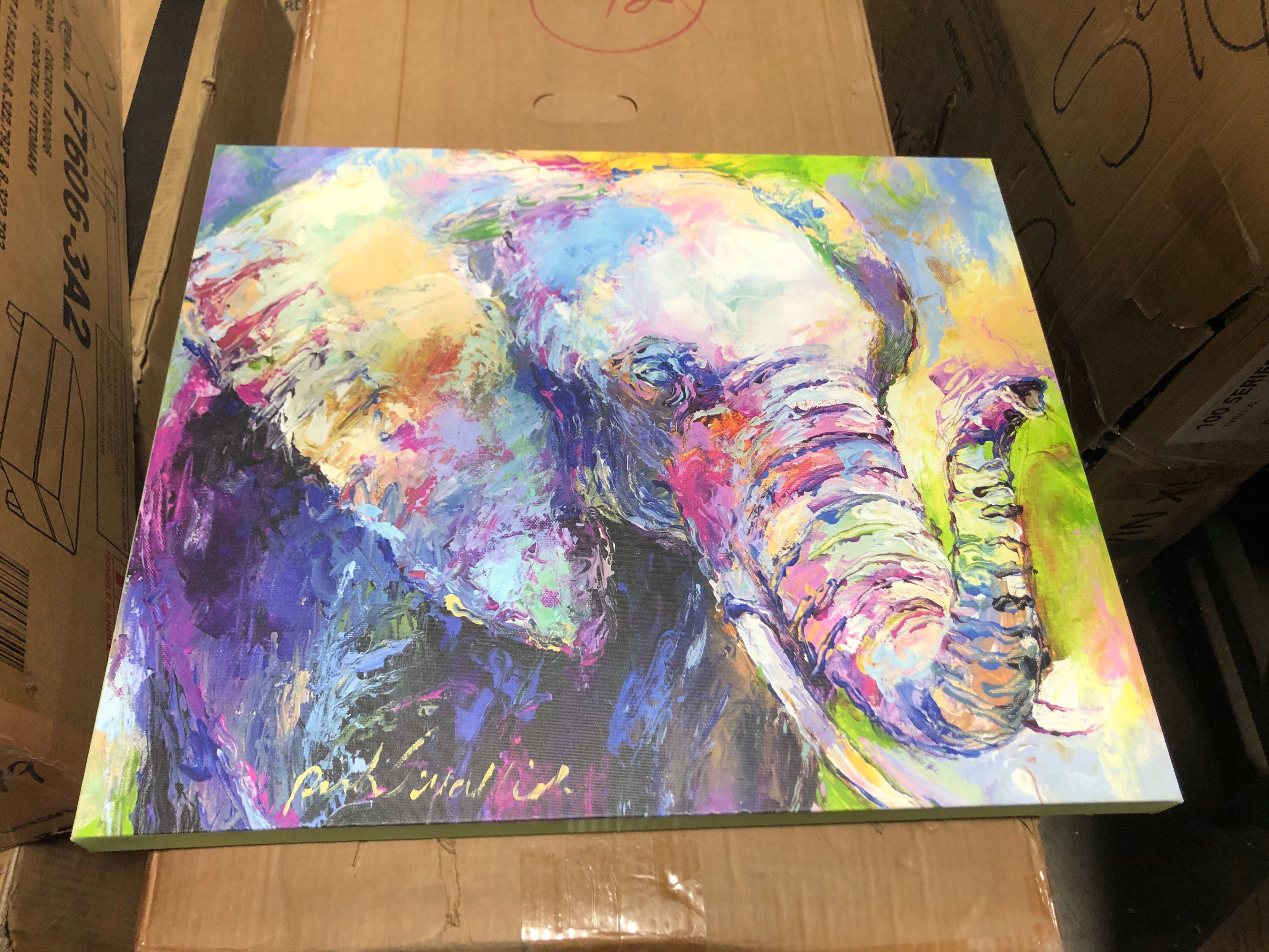 20x24" Elephant Canvas CG1621