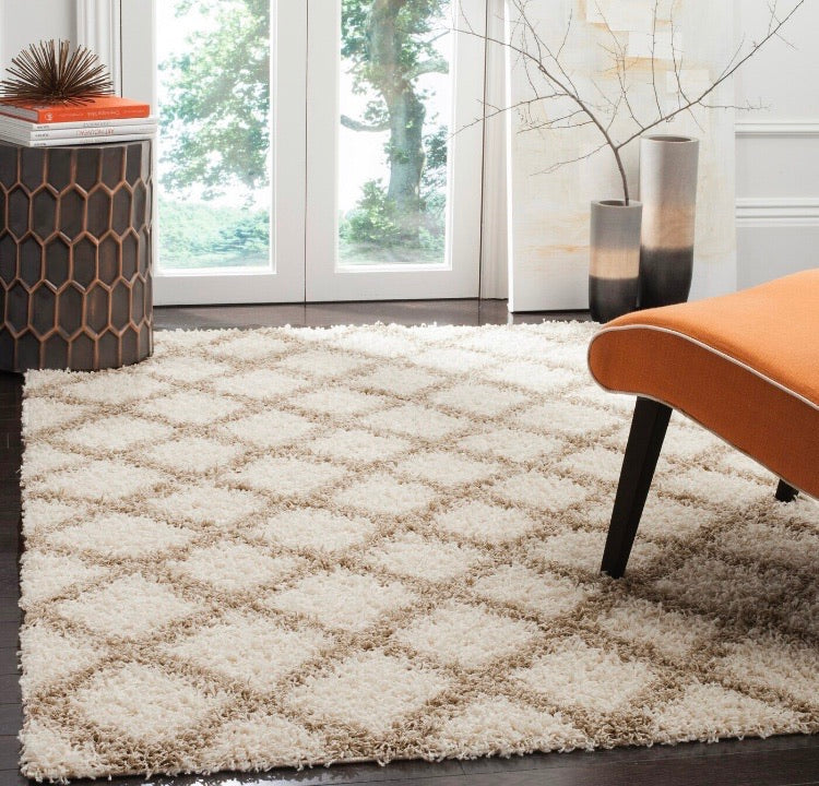 8'x10' Ines Shag Ivory/Beige Area Rug CG322