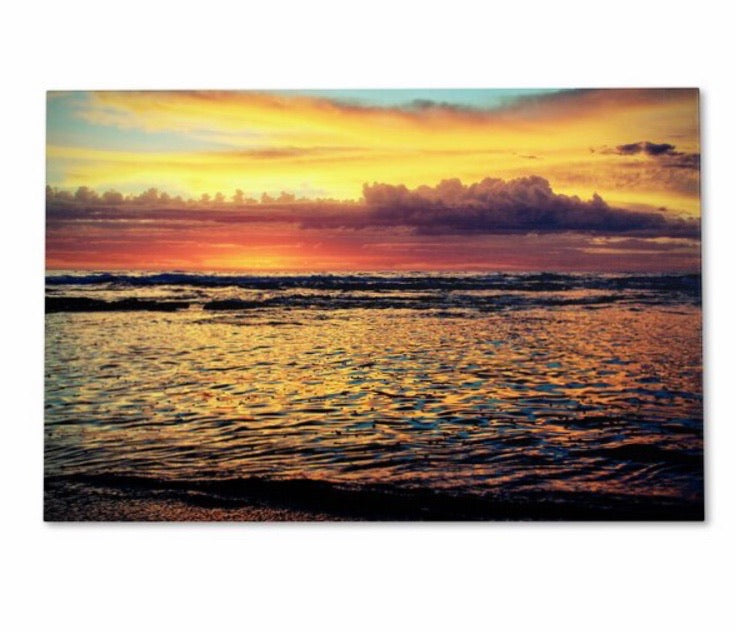 30" H x 47" W x 2" D 'Morning Glory' Canvas CG1278