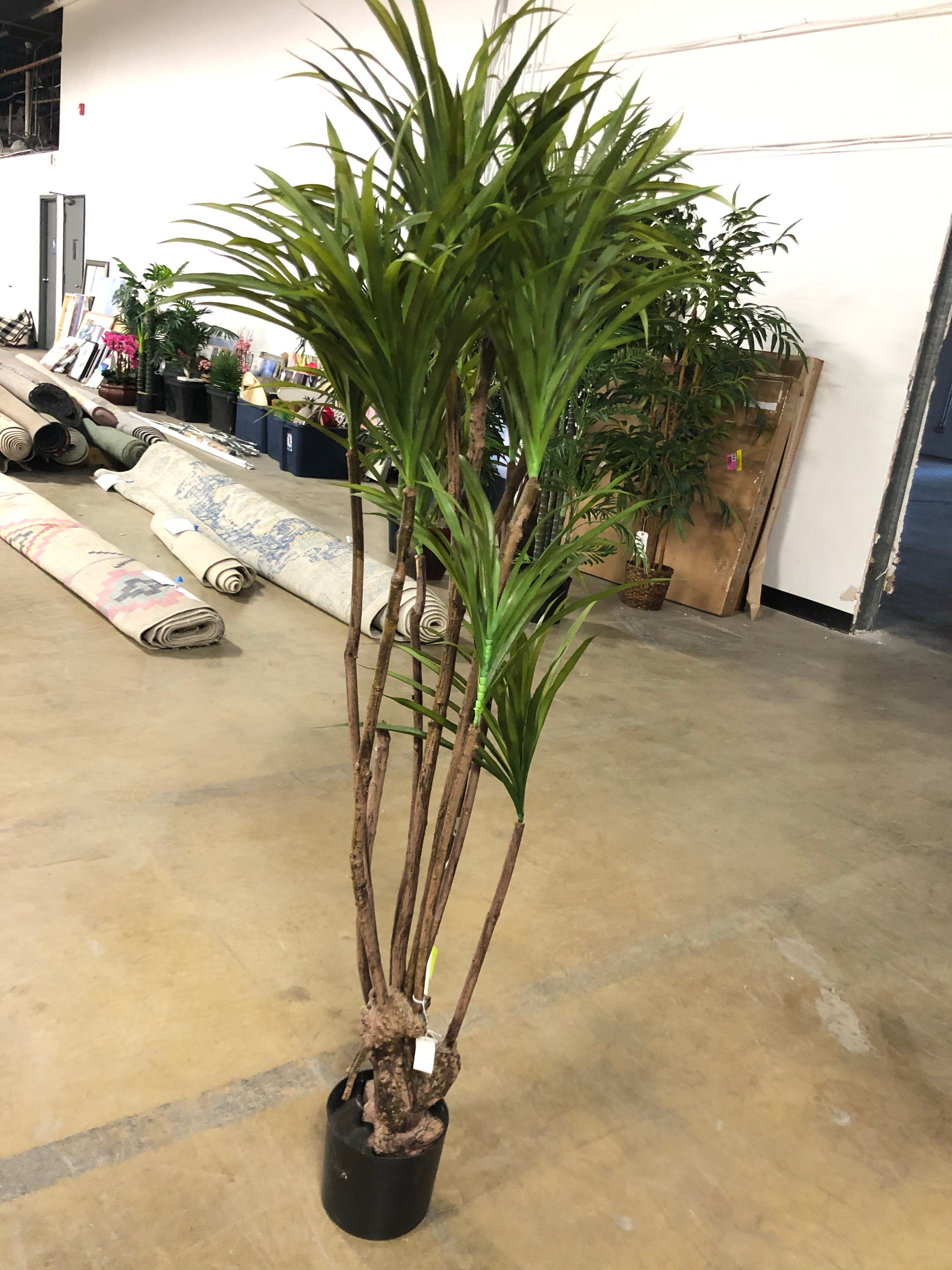 60" Artificial Dracaena Tree in Pot 2257