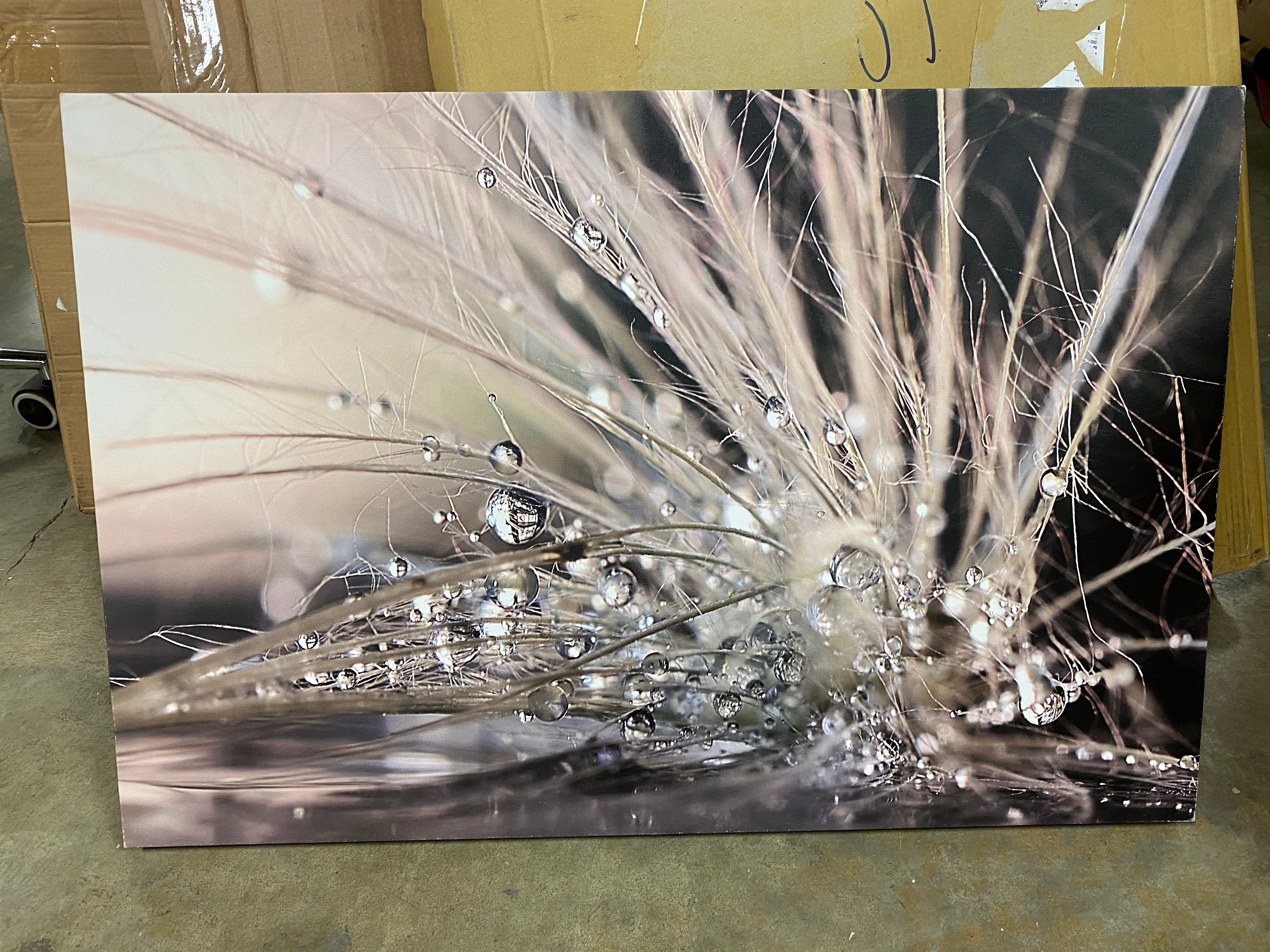 'Pearls' Photographic Print on Wrapped Canvas  #SA746