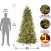 7.5' Feel Real Tiffany Fir Slim Hinged Artificial Christmas Tree with 600 Clear Lights (#K5892)