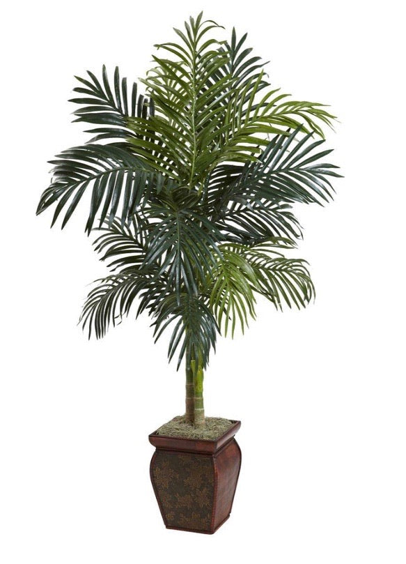 4.5 ft. Golden Cane Palm with Decorative Container CG759