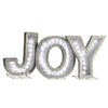 18.5 in. JOY Sign with LED Lights TTR257
