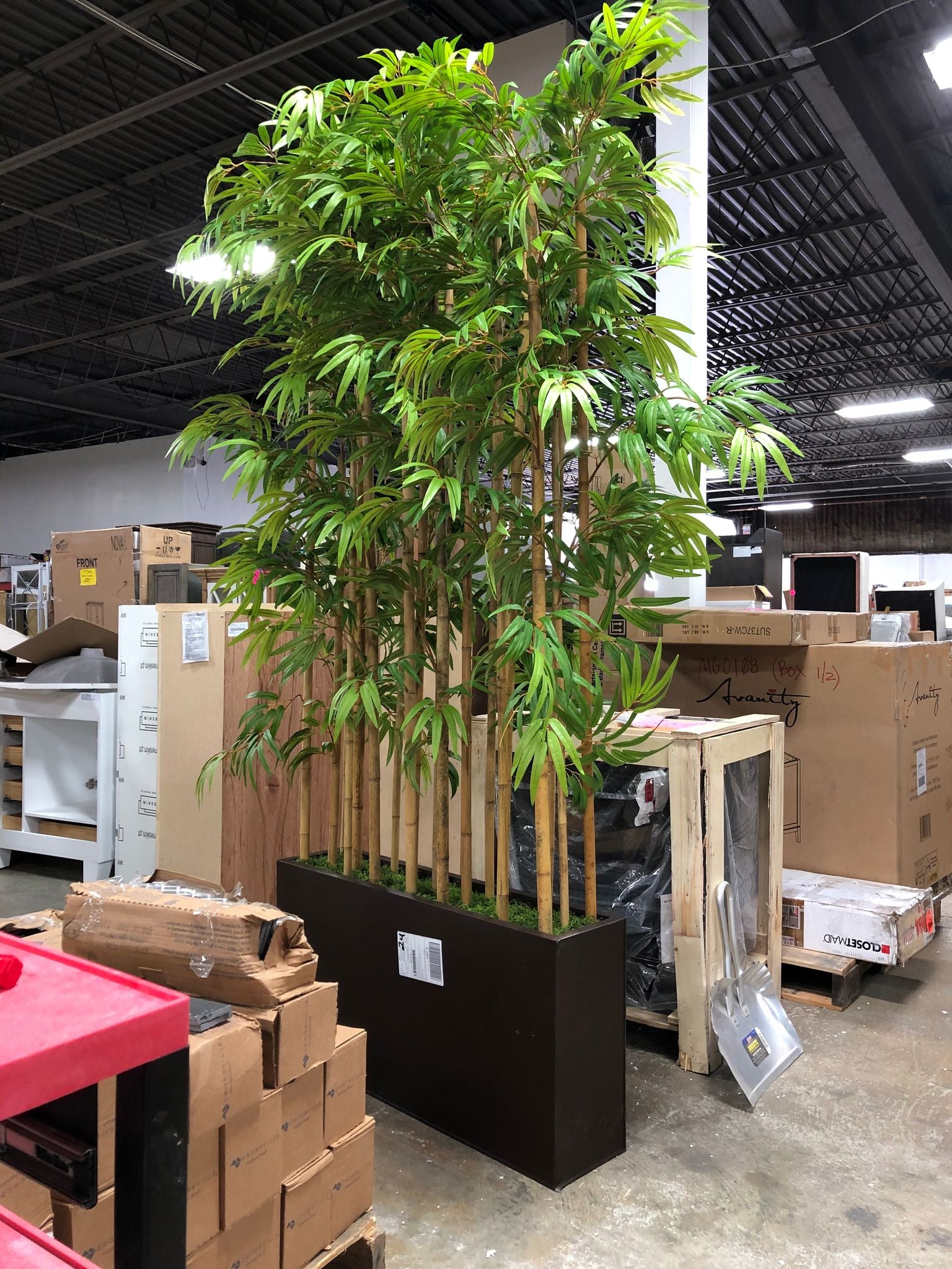Bamboo Floor Plant in Planter MGO114