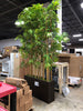 Bamboo Floor Plant in Planter MGO114