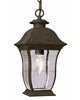 Outdoor 1-Light Hanging Lantern #LX2001
