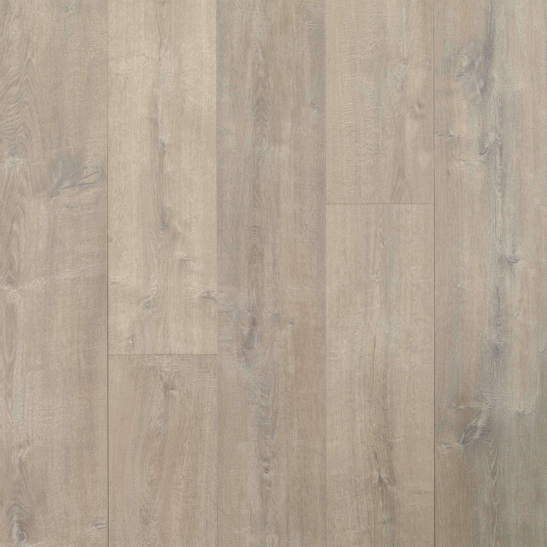 2 Boxes - Colossia 9" x 80" x 10mm Oak Laminate Flooring, Providence Oak - 52.96 Square Feet **AS IS** (#K5654 - 2 BOXES)