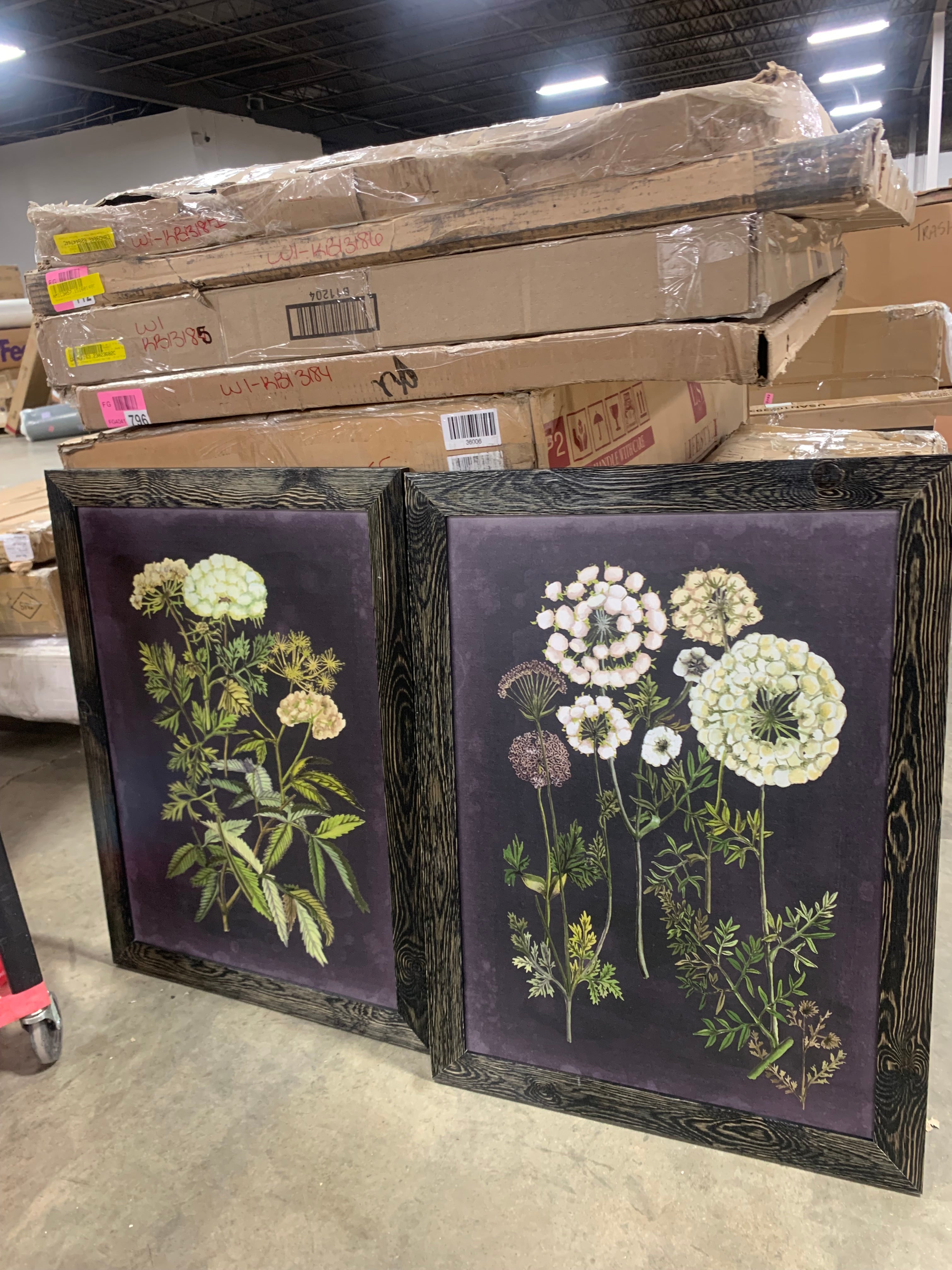 42.5" H x 30.5" W x 1" D Bookplate Floral I - Picture Frame Painting Set on Canvas (Set of 2)