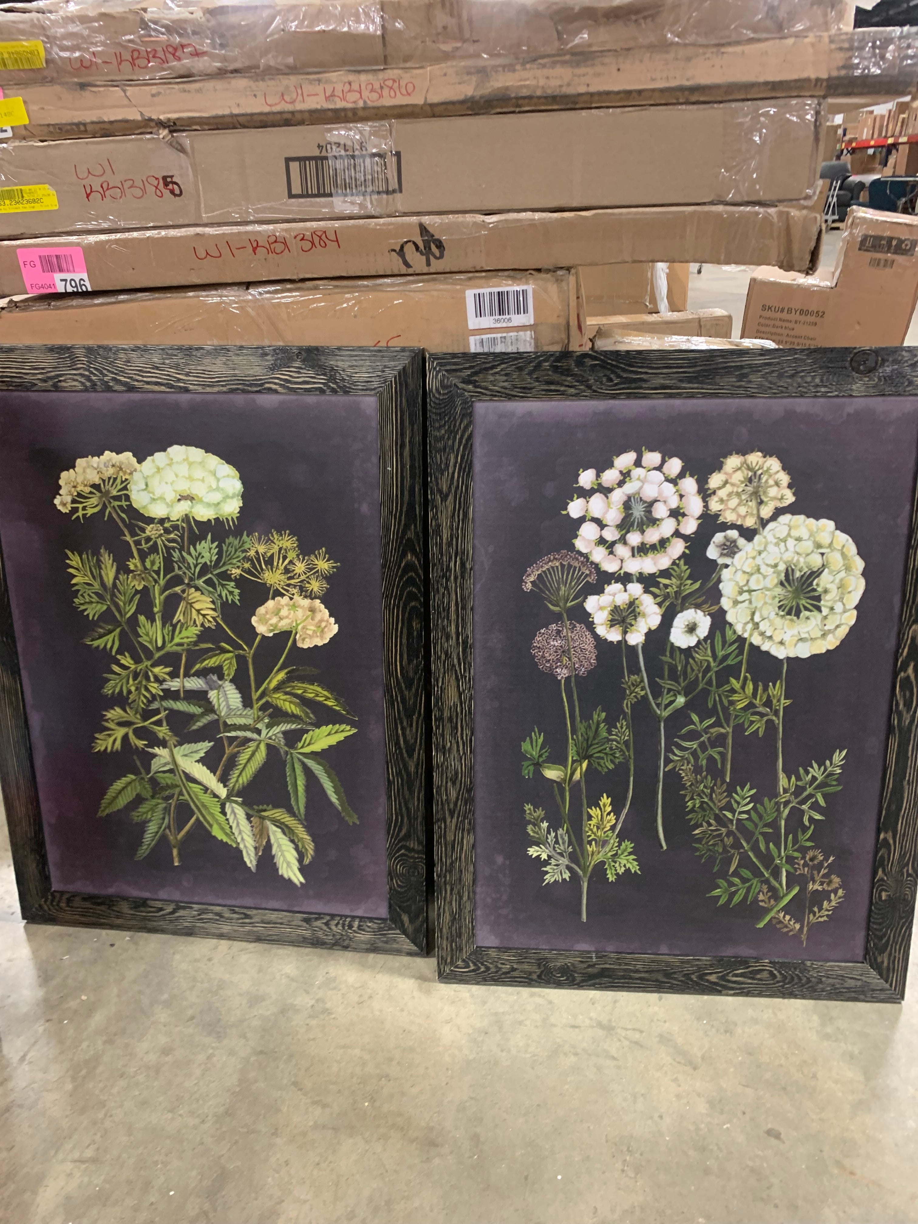 42.5" H x 30.5" W x 1" D Bookplate Floral I - Picture Frame Painting Set on Canvas (Set of 2)