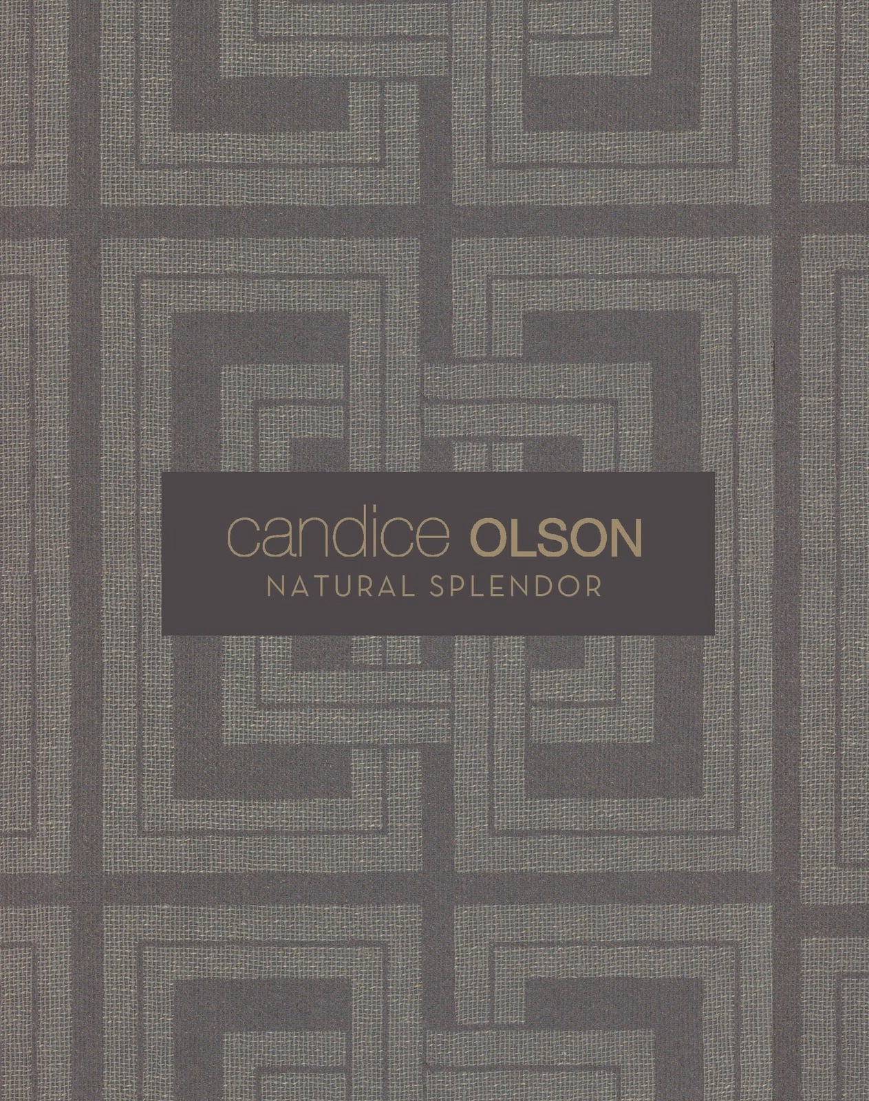 2 DBL Rolls YORK Candice Olson Natural Splendor Marquise Wallpaper DL2903 (Set of 2) ts939 (2 boxes)