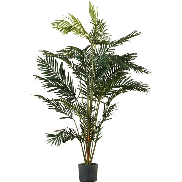 84" Paradise Palm Tree in Pot  #SA1489