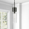 Black Shaeffer 1 - Light Single Bulb Pendant 2386