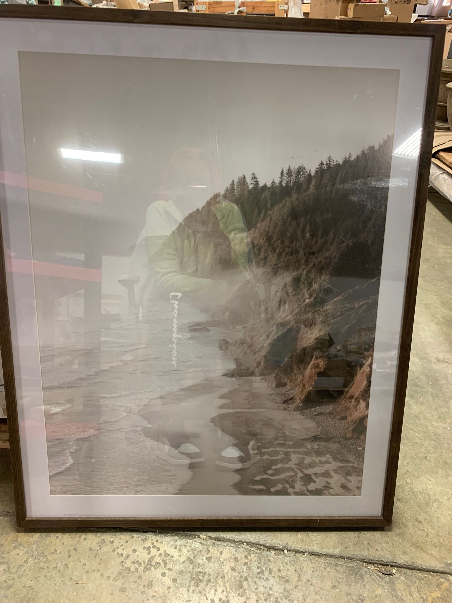 30" x 36" Foggy Oceanside Trees Framed Wall Art - Threshold™ designed with Studio McGee KBO336
