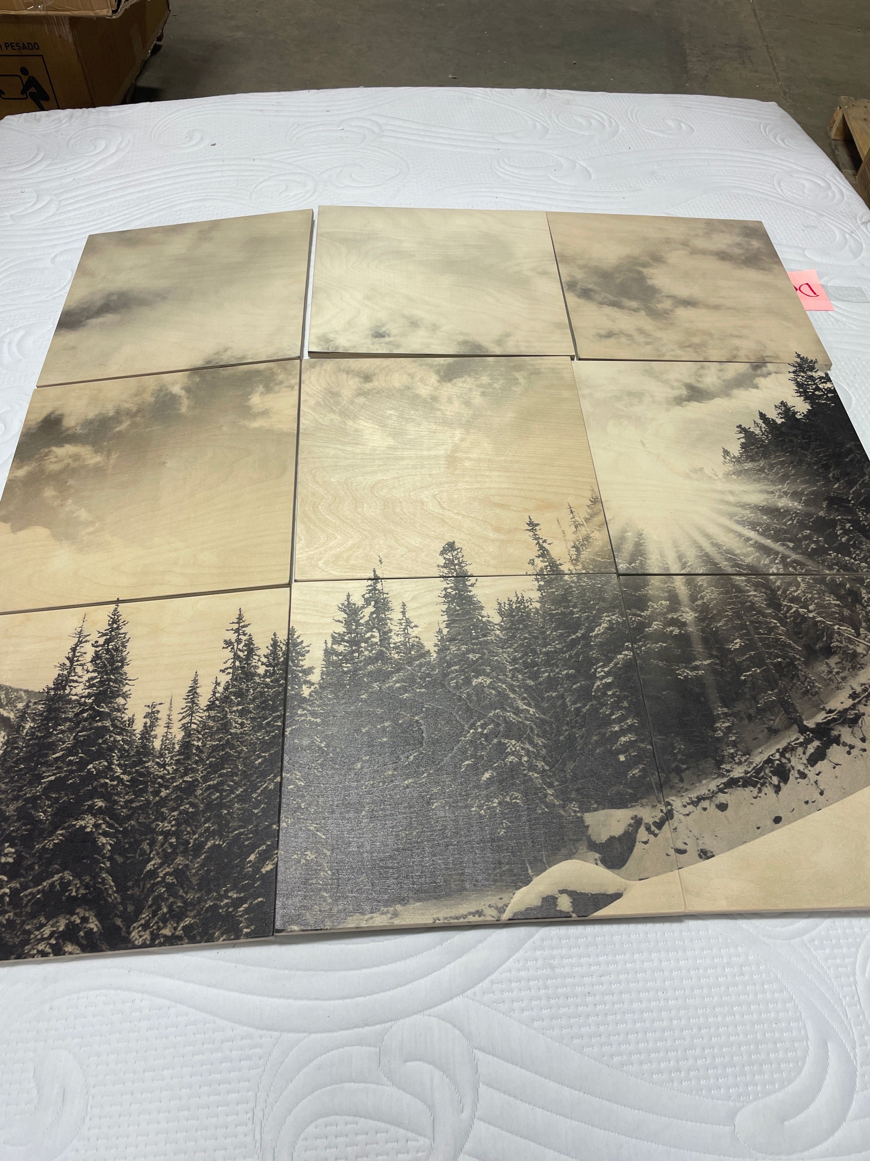 White Mountain Wood Wall Mural- 9 Squares - 4 x 4