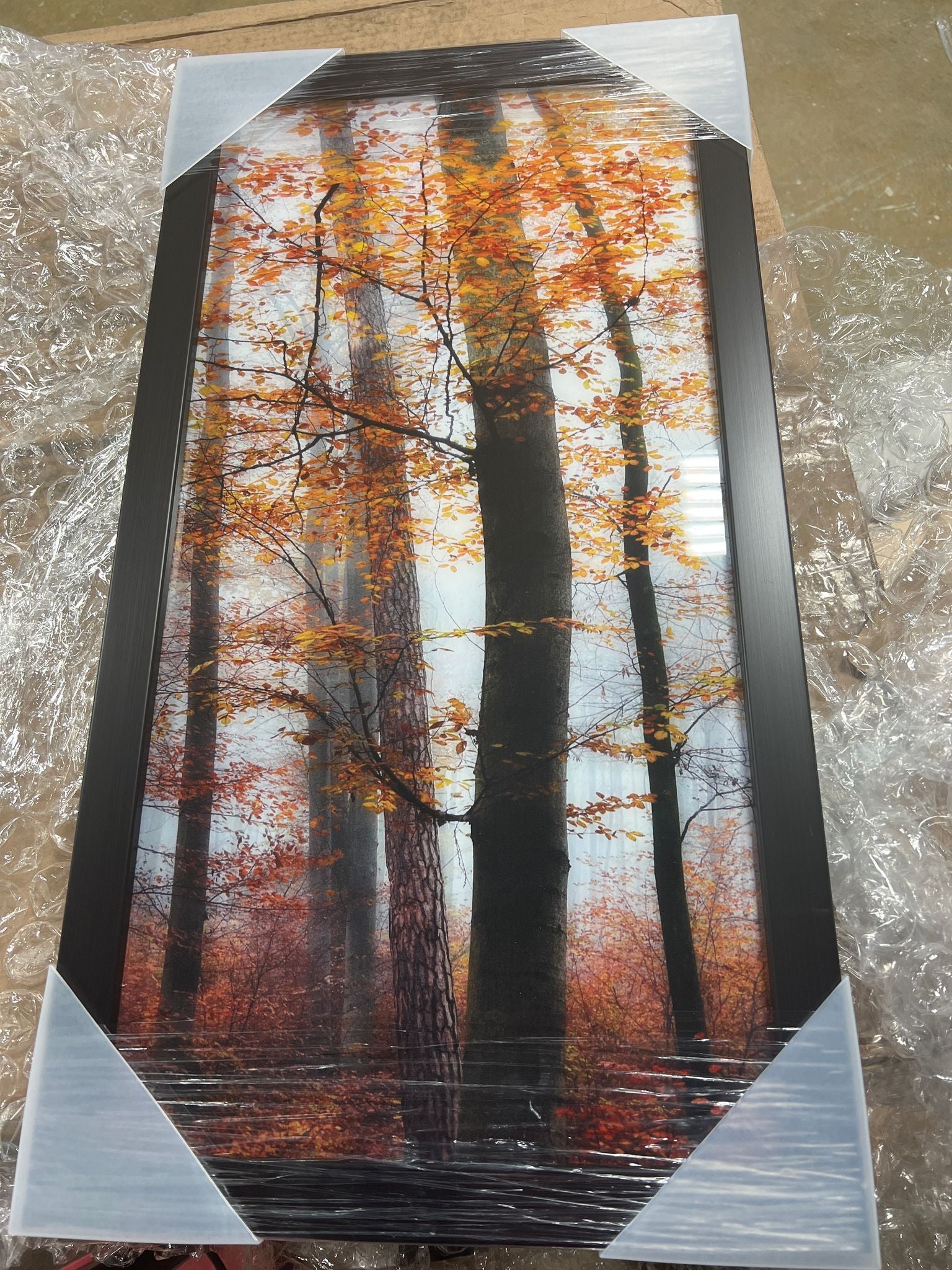 42” x 24” Fall Forest Scene, 3-Piece Framed Art