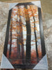42” x 24” Fall Forest Scene, 3-Piece Framed Art
